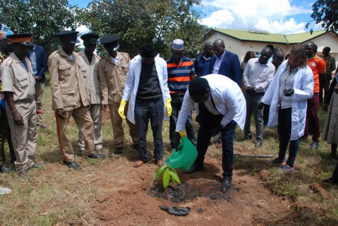 Hon Moyo planting a tree outside Pambashe Constituency Office
